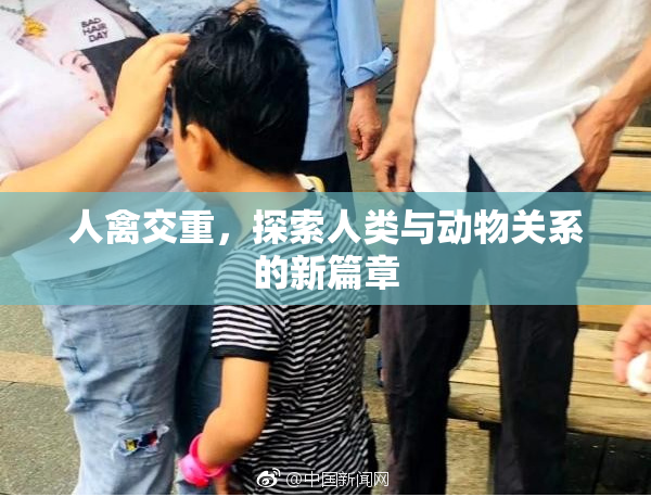 人禽交重，探索人类与动物关系的新篇章
