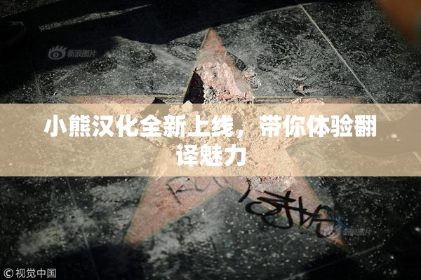 小熊汉化全新上线，带你体验翻译魅力