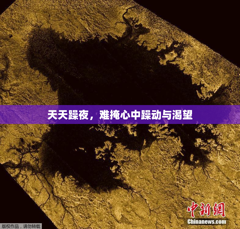 天天躁夜，难掩心中躁动与渴望