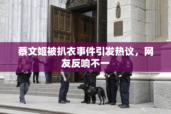蔡文姬被扒衣事件引发热议，网友反响不一
