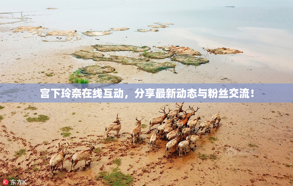 宫下玲奈在线互动，分享最新动态与粉丝交流！