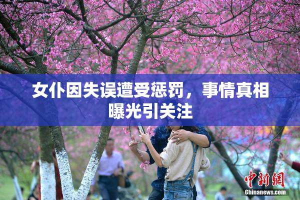女仆因失误遭受惩罚，事情真相曝光引关注