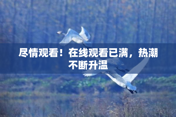 尽情观看！在线观看已满，热潮不断升温