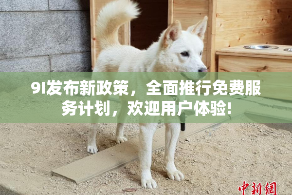 9I发布新政策，全面推行免费服务计划，欢迎用户体验!
