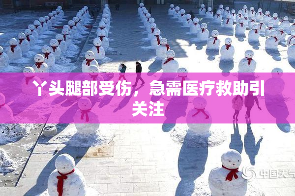 丫头腿部受伤，急需医疗救助引关注