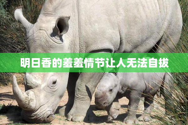 明日香的羞羞情节让人无法自拔