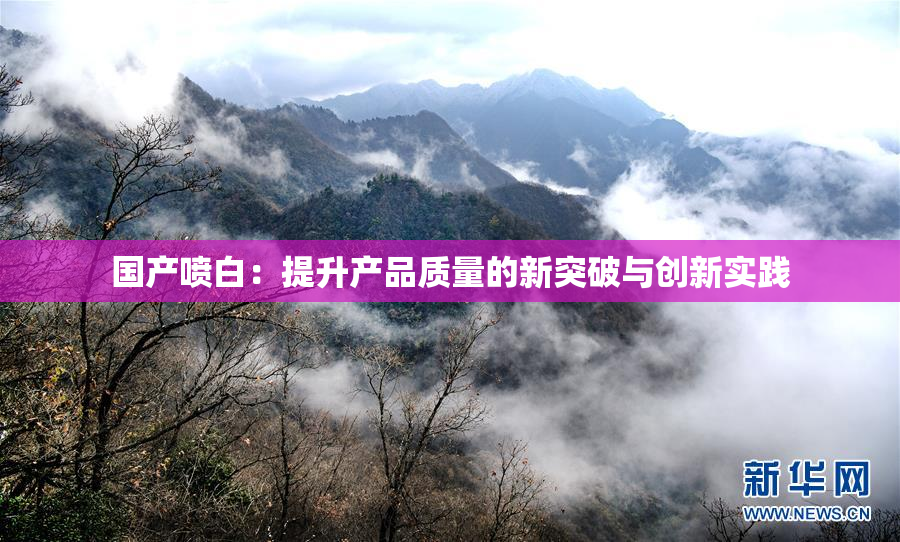 国产喷白：提升产品质量的新突破与创新实践
