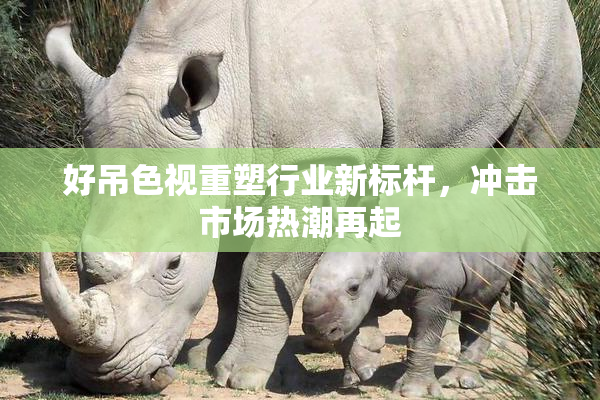 好吊色视重塑行业新标杆，冲击市场热潮再起
