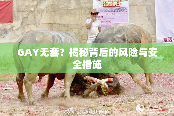 GAY无套？揭秘背后的风险与安全措施