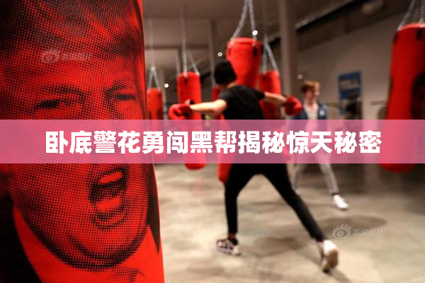 卧底警花勇闯黑帮揭秘惊天秘密