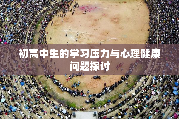 初高中生的学习压力与心理健康问题探讨