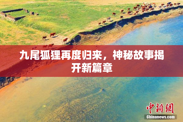 九尾狐狸再度归来，神秘故事揭开新篇章