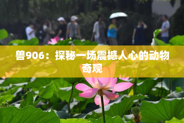 兽906：探秘一场震撼人心的动物奇观