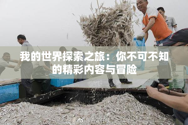 我的世界探索之旅：你不可不知的精彩内容与冒险