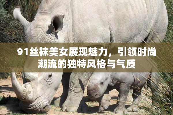 91丝袜美女展现魅力，引领时尚潮流的独特风格与气质