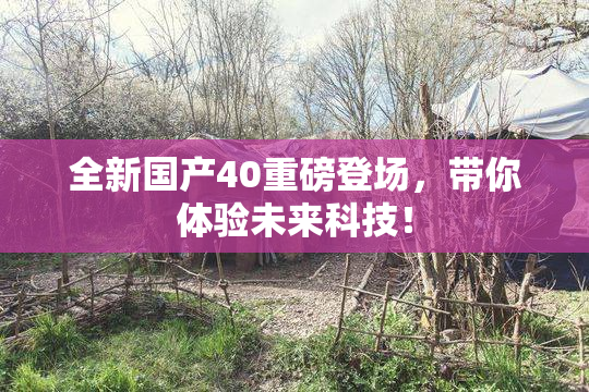全新国产40重磅登场，带你体验未来科技！