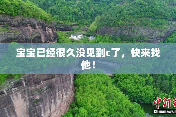 宝宝已经很久没见到c了，快来找他！