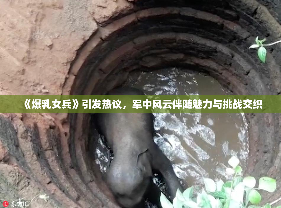 《爆乳女兵》引发热议，军中风云伴随魅力与挑战交织