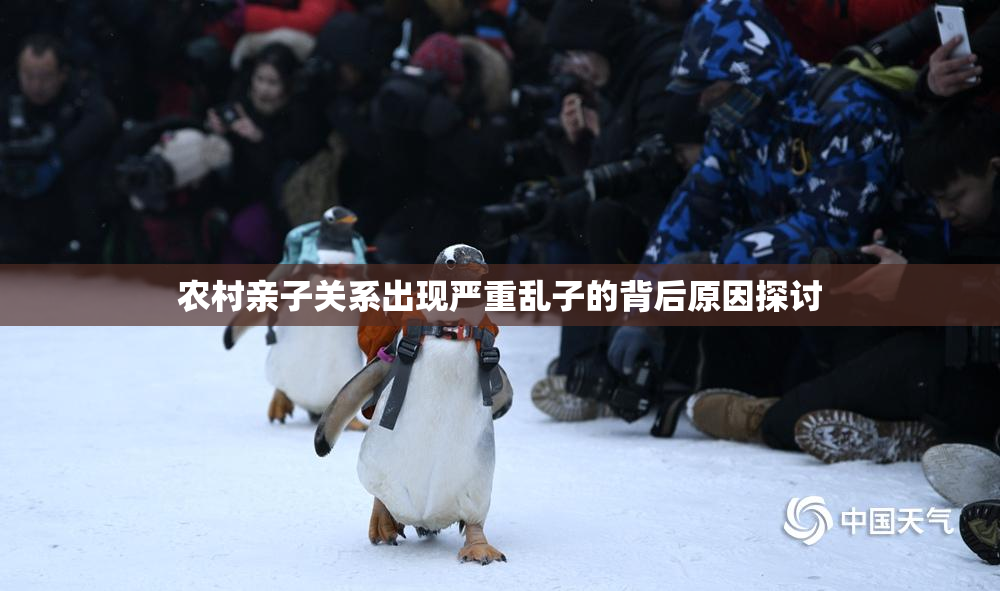 农村亲子关系出现严重乱子的背后原因探讨