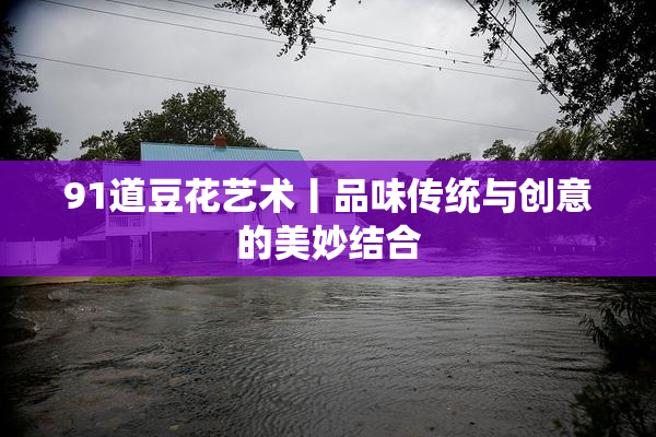 91道豆花艺术丨品味传统与创意的美妙结合