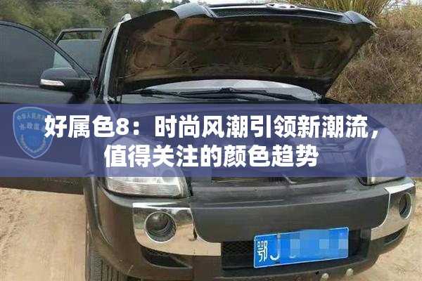 好属色8：时尚风潮引领新潮流，值得关注的颜色趋势