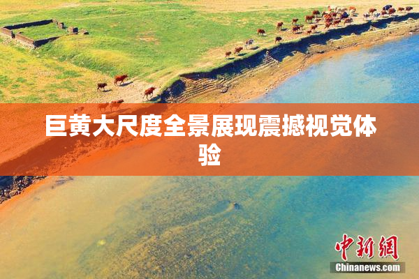 巨黄大尺度全景展现震撼视觉体验