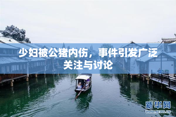 少妇被公猪内伤，事件引发广泛关注与讨论