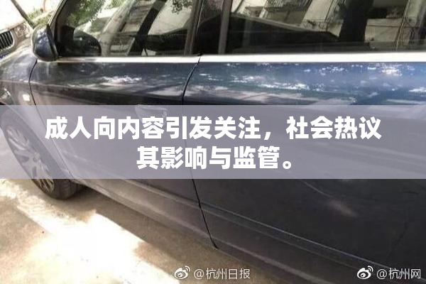 成人向内容引发关注，社会热议其影响与监管。