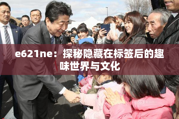 e621ne：探秘隐藏在标签后的趣味世界与文化