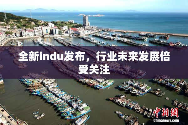 全新indu发布，行业未来发展倍受关注