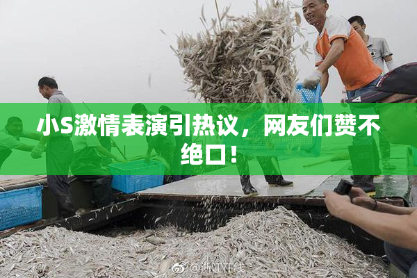 小S激情表演引热议，网友们赞不绝口！