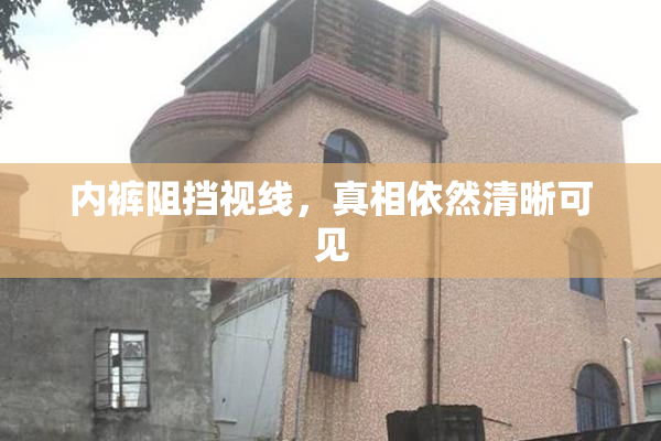 内裤阻挡视线，真相依然清晰可见