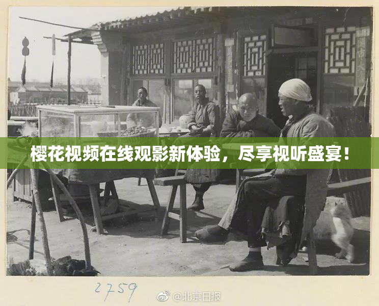 樱花视频在线观影新体验，尽享视听盛宴！