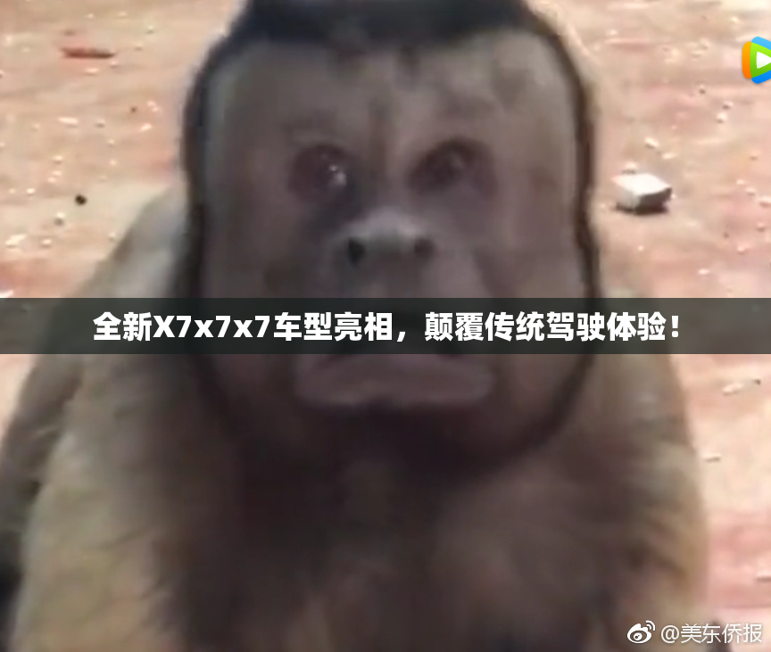 全新X7x7x7车型亮相，颠覆传统驾驶体验！