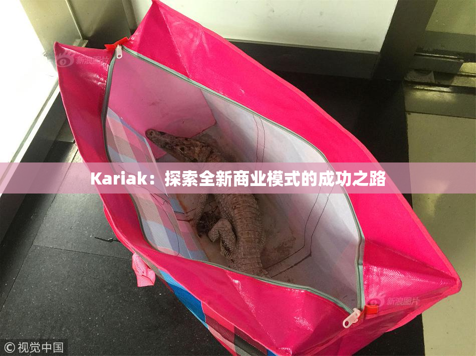 Kariak：探索全新商业模式的成功之路