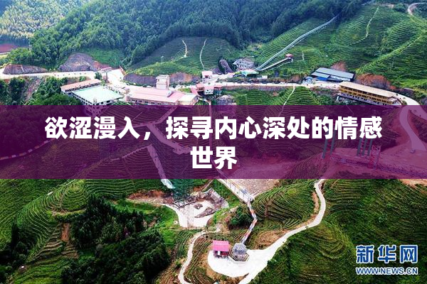 欲涩漫入，探寻内心深处的情感世界