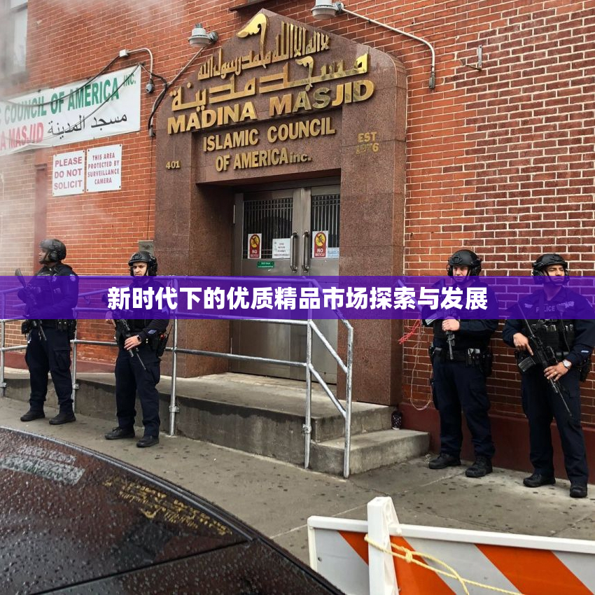 新时代下的优质精品市场探索与发展