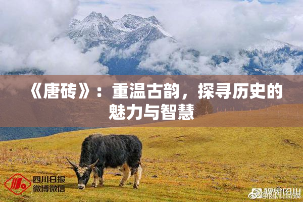 《唐砖》：重温古韵，探寻历史的魅力与智慧