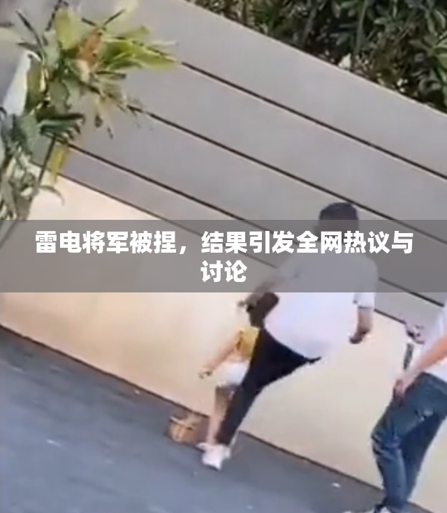 雷电将军被捏，结果引发全网热议与讨论