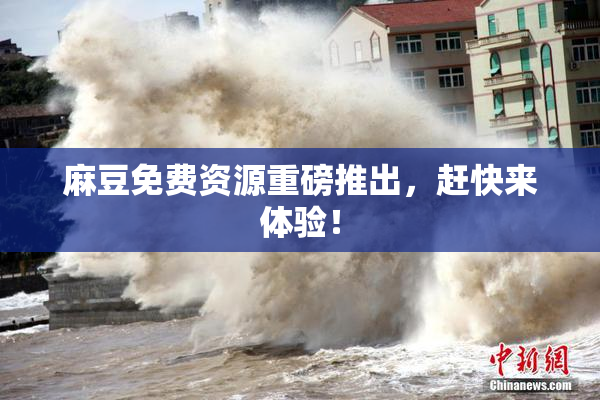 麻豆免费资源重磅推出，赶快来体验！