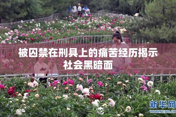 被囚禁在刑具上的痛苦经历揭示社会黑暗面