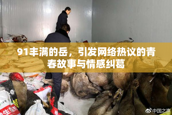 91丰满的岳，引发网络热议的青春故事与情感纠葛
