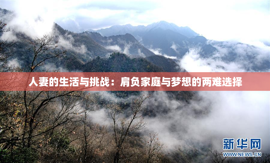 人妻的生活与挑战：肩负家庭与梦想的两难选择