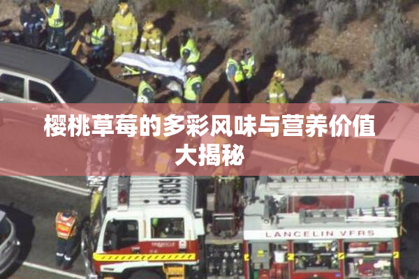 樱桃草莓的多彩风味与营养价值大揭秘