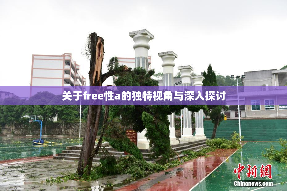 关于free性a的独特视角与深入探讨