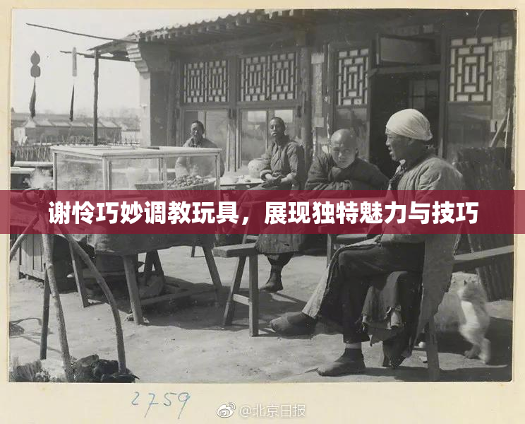 谢怜巧妙调教玩具，展现独特魅力与技巧