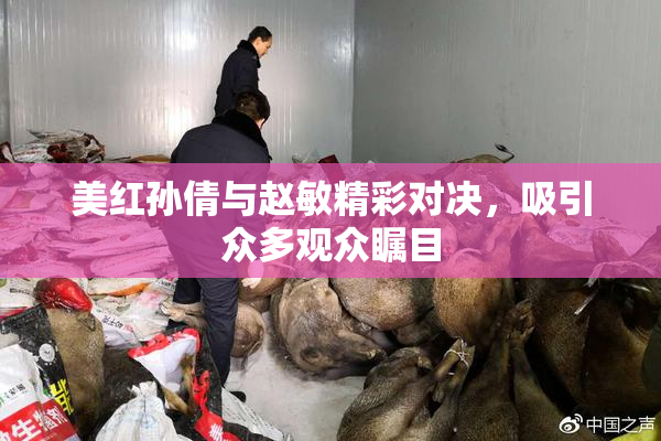 美红孙倩与赵敏精彩对决，吸引众多观众瞩目
