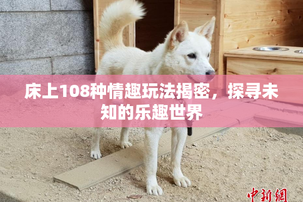床上108种情趣玩法揭密，探寻未知的乐趣世界