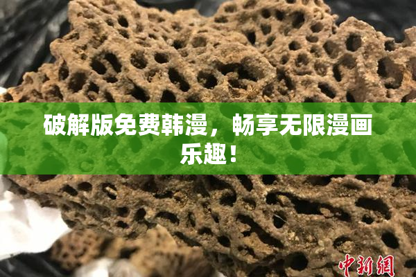 破解版免费韩漫，畅享无限漫画乐趣！