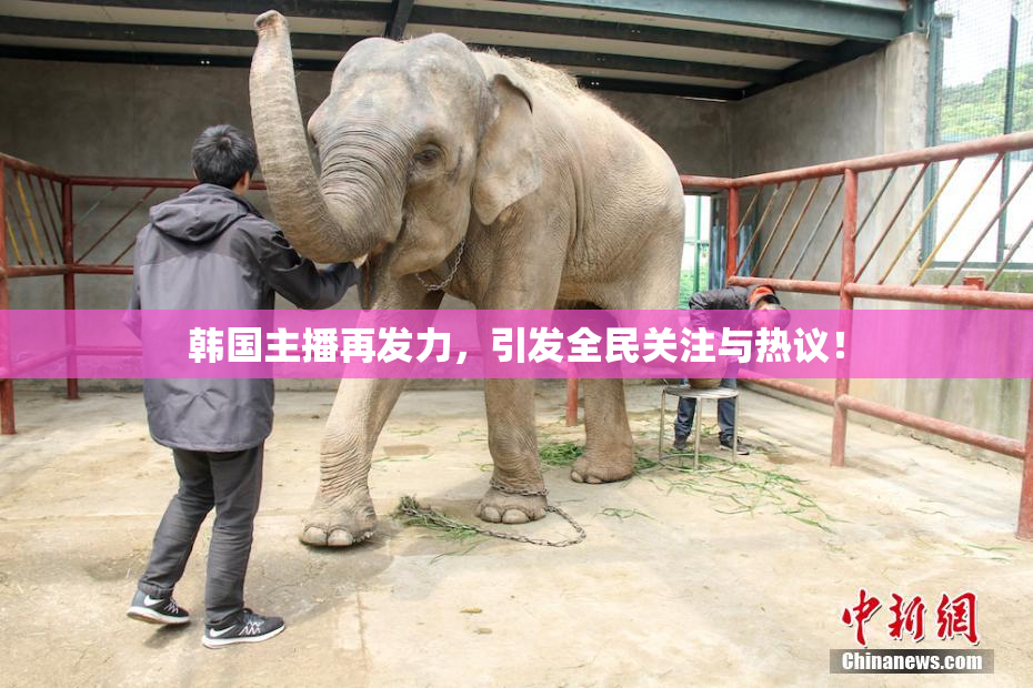 韩国主播再发力，引发全民关注与热议！